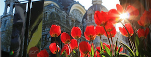 ANTWERPENI MAGYAROK